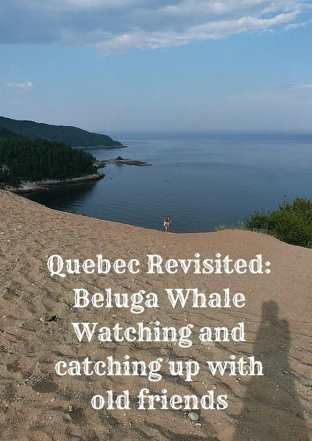 Quebec Revisited_ Beluga Whale Watching and catching up with old friends