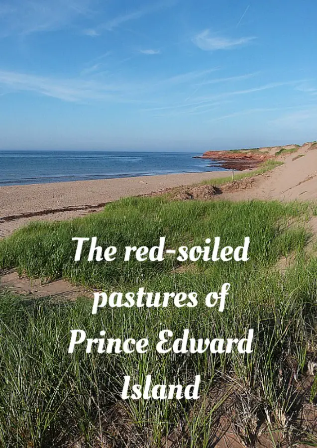 The red-soiled pastures of Prince Edward Island