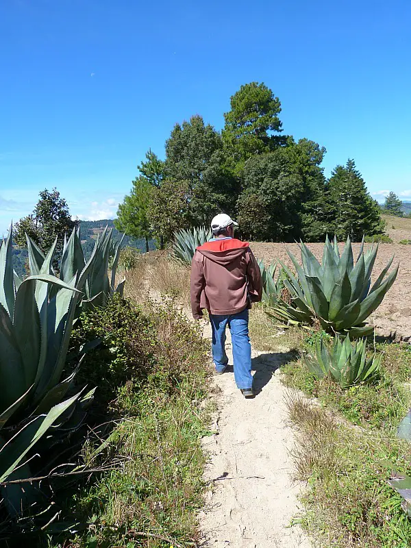 Hiking with our local guide in Mexico's Sierra Norte Mountains