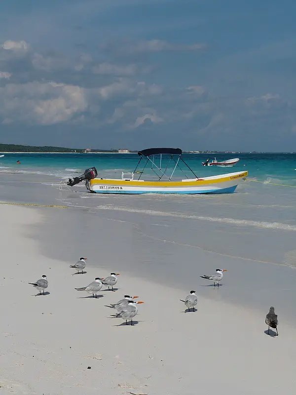 Tulum beach on the Yucatan Coast of Mexico