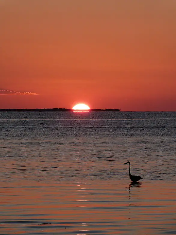Sunset at the Split on Caye Caulker, Belize