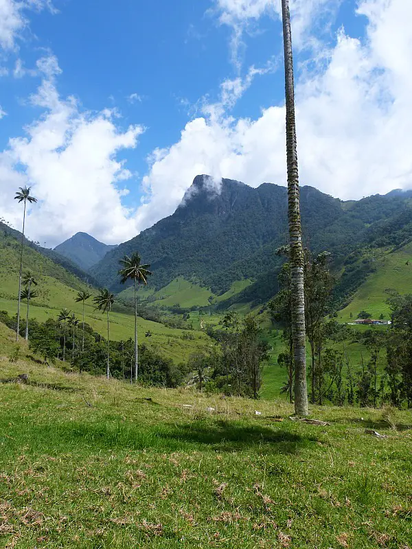 Hiking in the Valle de Cocora in Colombia's Coffee Region