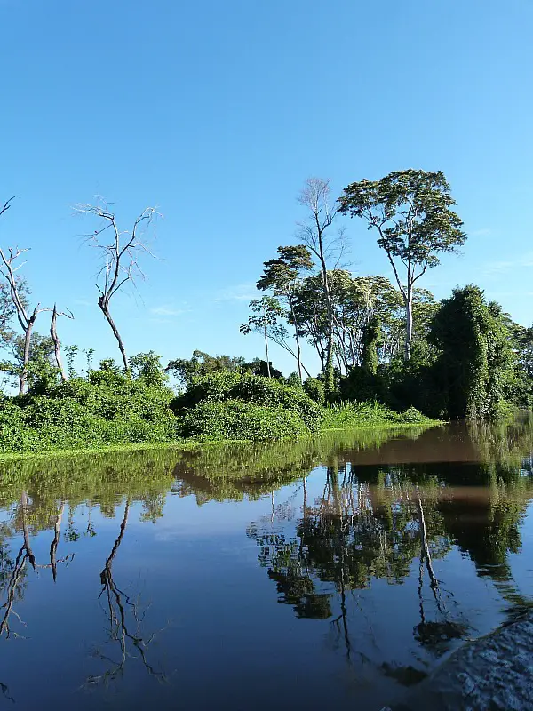 Amazon river tributary in the Amazon Basin of Bolivia