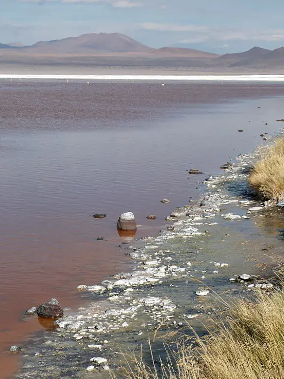 Laguna Colorada in remote South West Bolivia