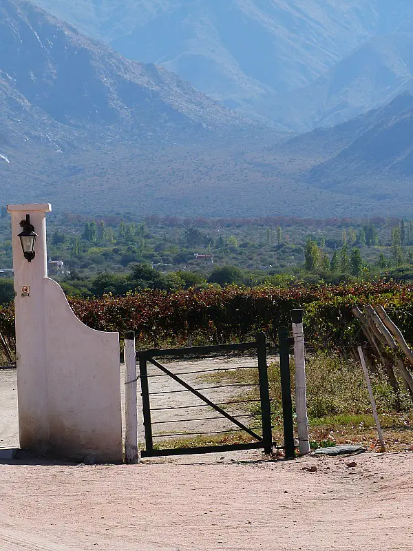 Winery in Cafayate, Northern Argentina