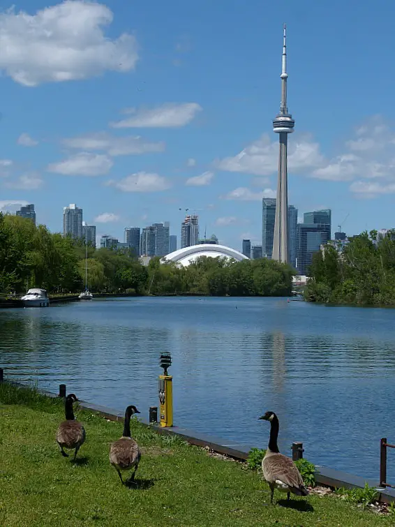 CN Tower in Toronto from the Harbour Islands