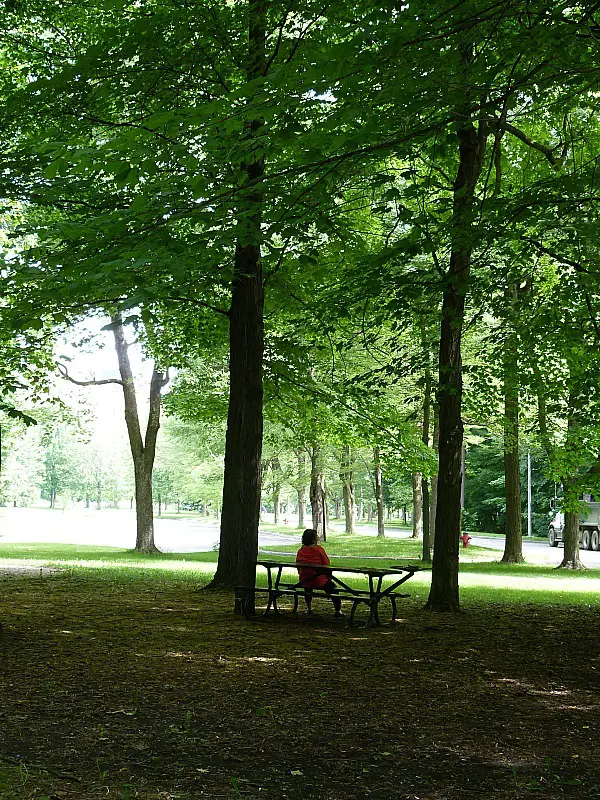 A green park in Montreal, Quebec