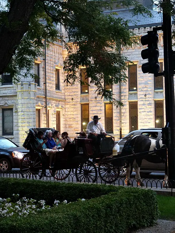 Horse and carriage in Chicago