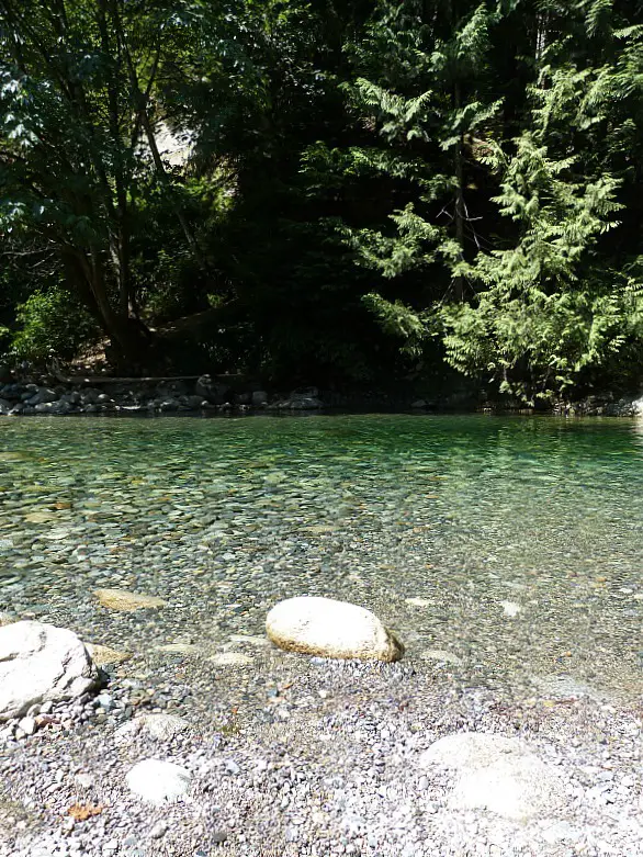 Clear waters of Lynn Canyon in North Vancouver