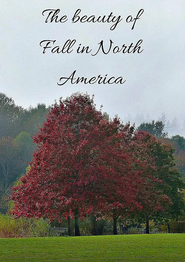 The beauty of Fall in North America