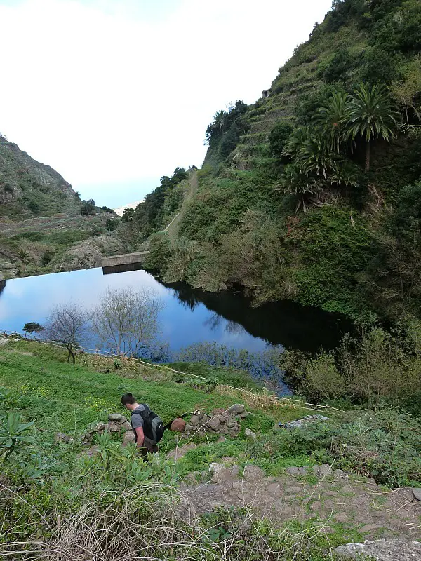 Hiking in Garajonay National Park on La Gomera in the Canary Islands of Spain