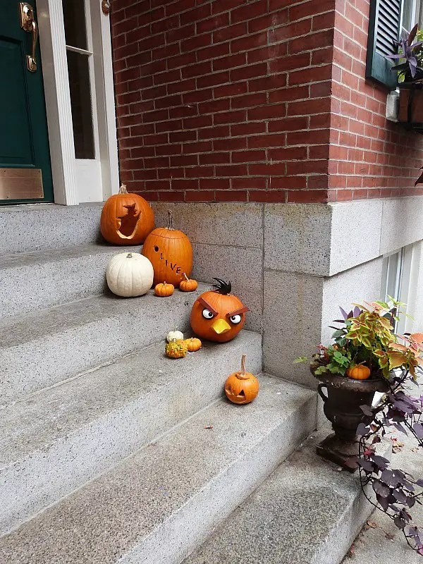 Carved pumpkins on stoops in Boston - one of the reasons to experience fall in north america