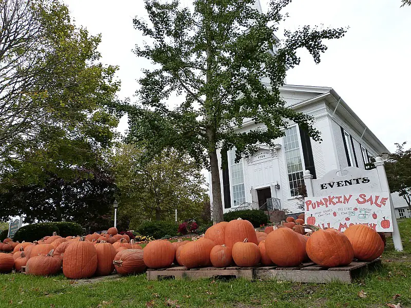 Pumpkin sale in New England - one of the reasons to experience fall in North America