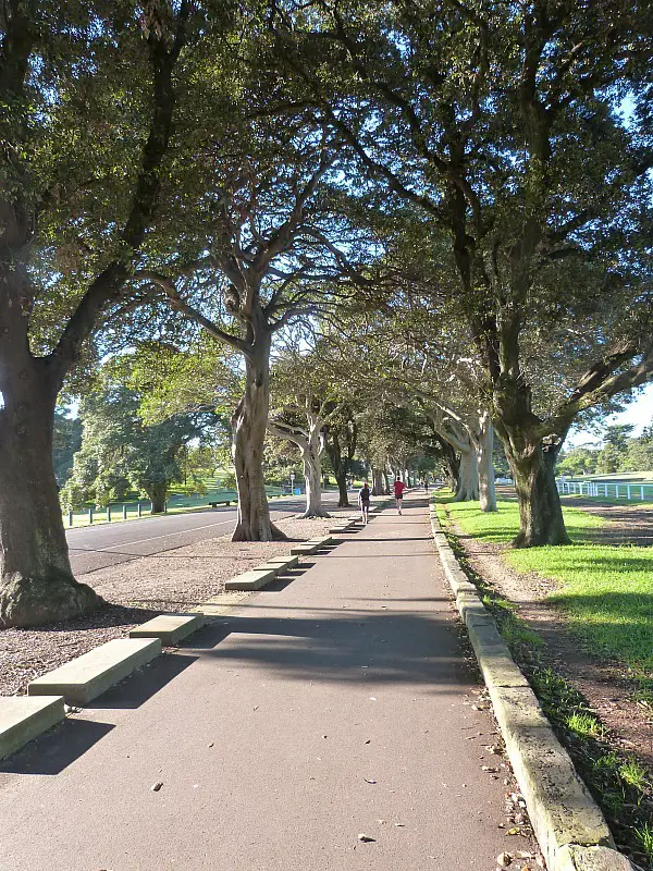 Sydney City Parks - One of the 30 reasons why I love Sydney
