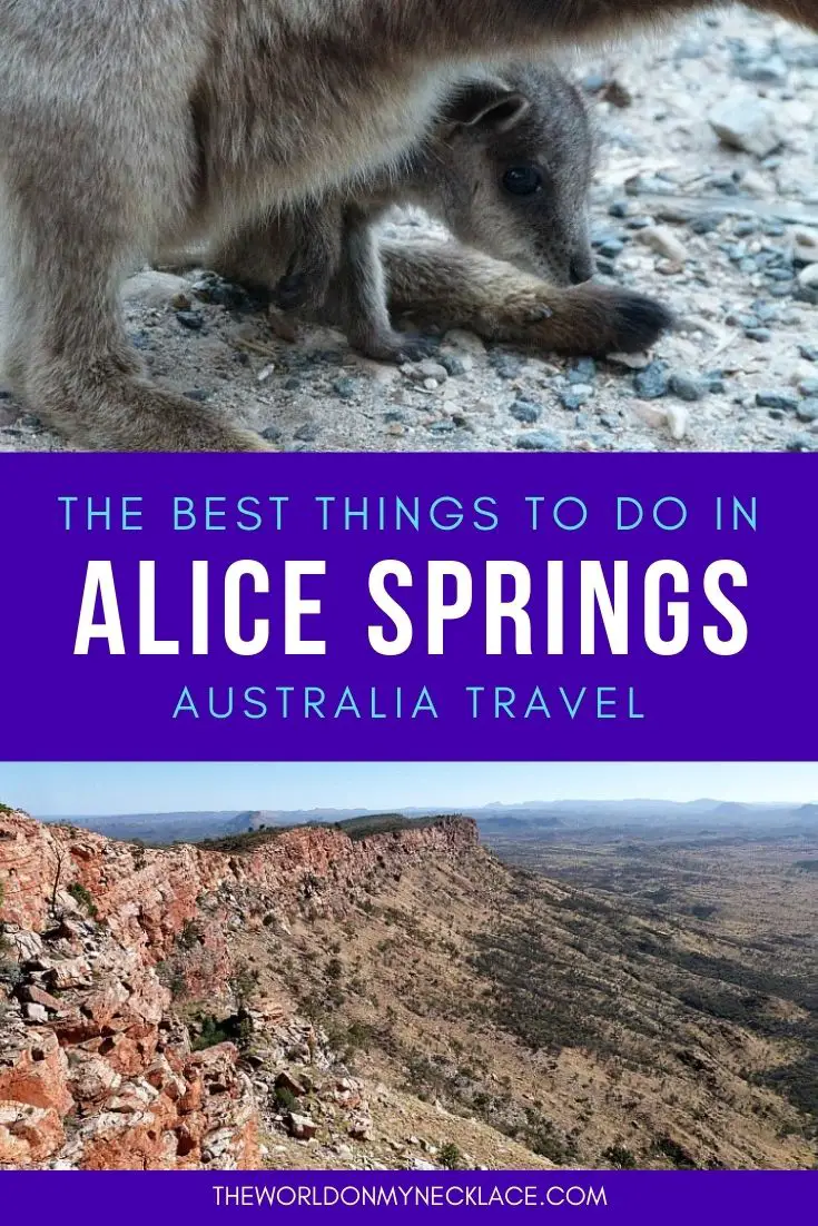 The Best Things to do in Alice Springs Australia