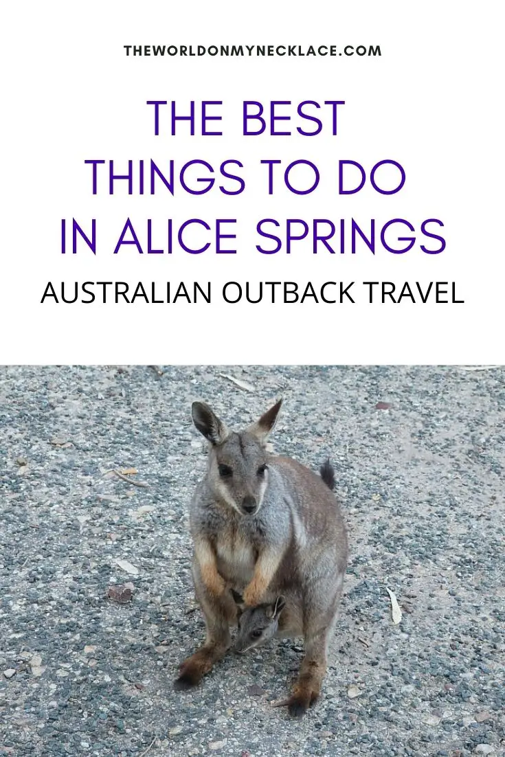 The Best Things To Do in Alice Springs