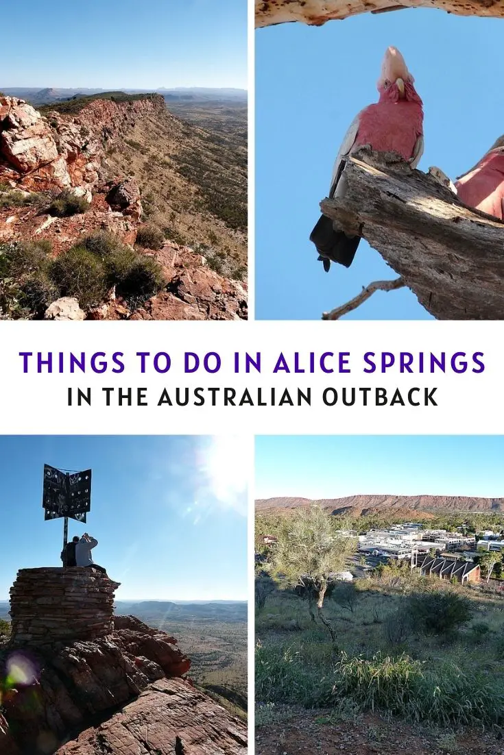 Things To Do in Alice Springs in the Australian Outback