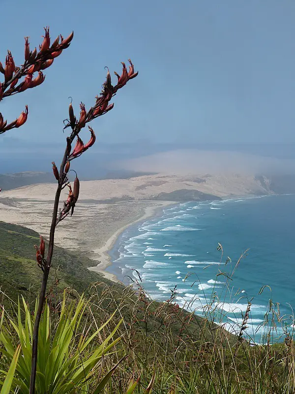 Incredible views from Cape Reinga New Zealand 