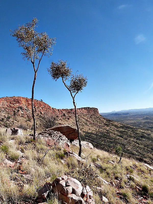 Hiking the MacDonnell Ranges near Alice Springs