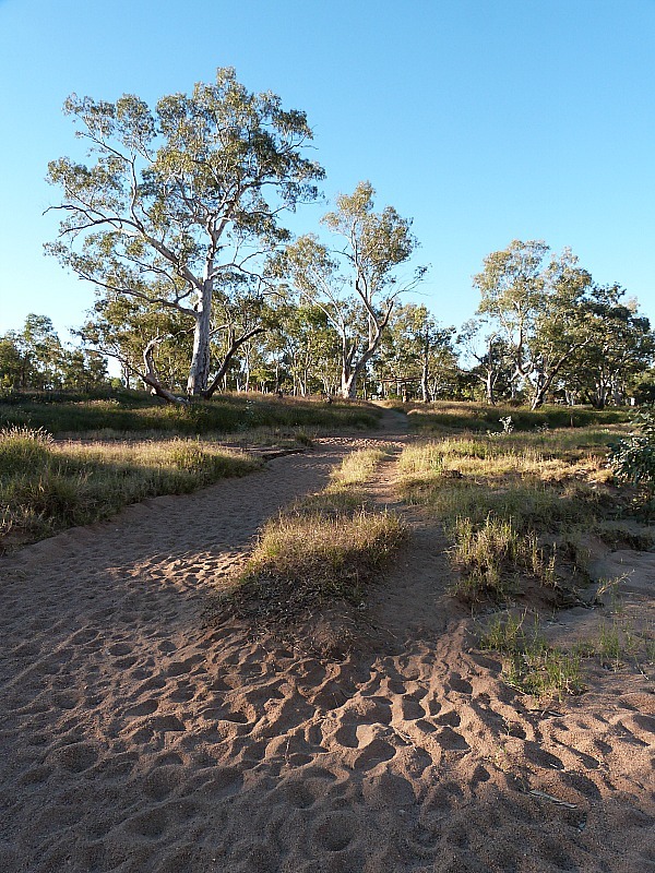 The dry Todd River in Alice Springs, Australia