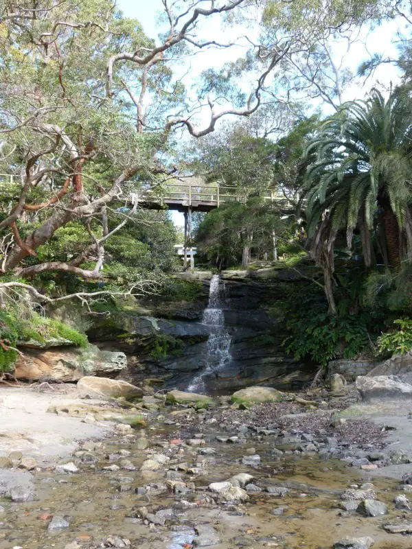 Passing a waterfall on the Manly to Spit walk in Sydney