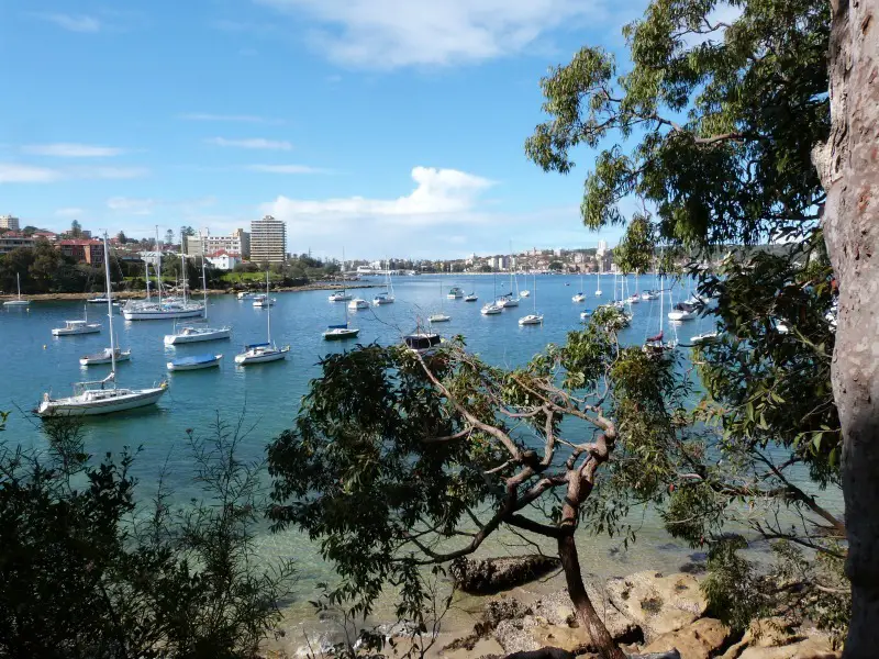 Beautiful harbour views on the Spit to Manly walk in Sydney's northern beaches