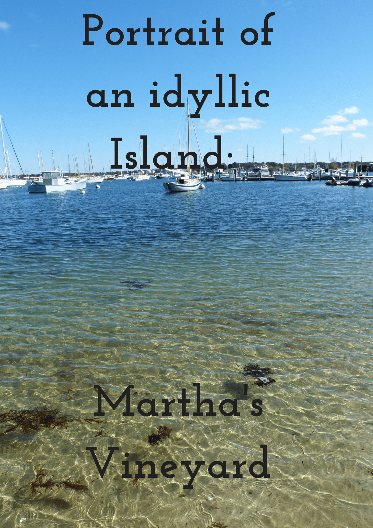 Portrait of an idyllic Island_ Martha’s
