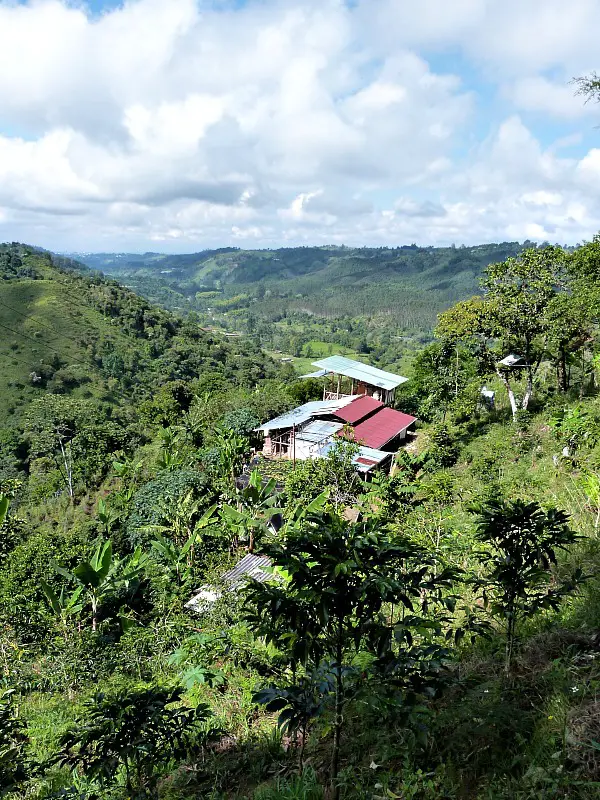 Views over Salento, Colombia - one of my highlights of South America