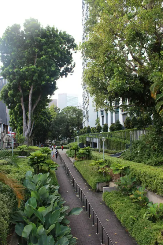 Walking the green belt in Chinatown during our 24 hours in Singapore