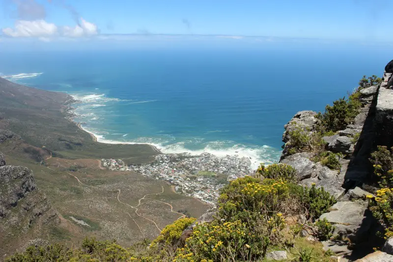 Views from the hike up Table Mountain, one of the highlights of Cape Town