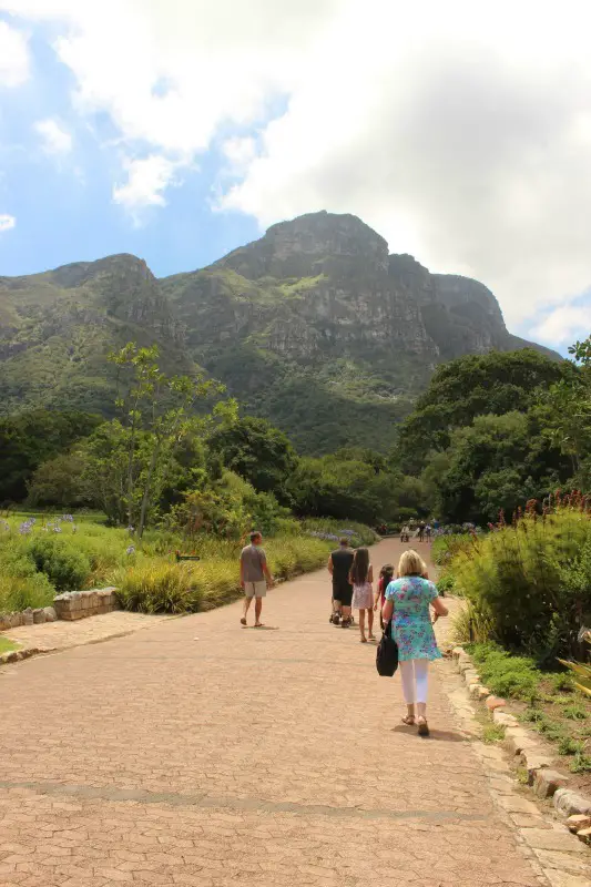 Exploring Kirstenbosch Gardens in Cape Town - a must for your Cape Town itinerary