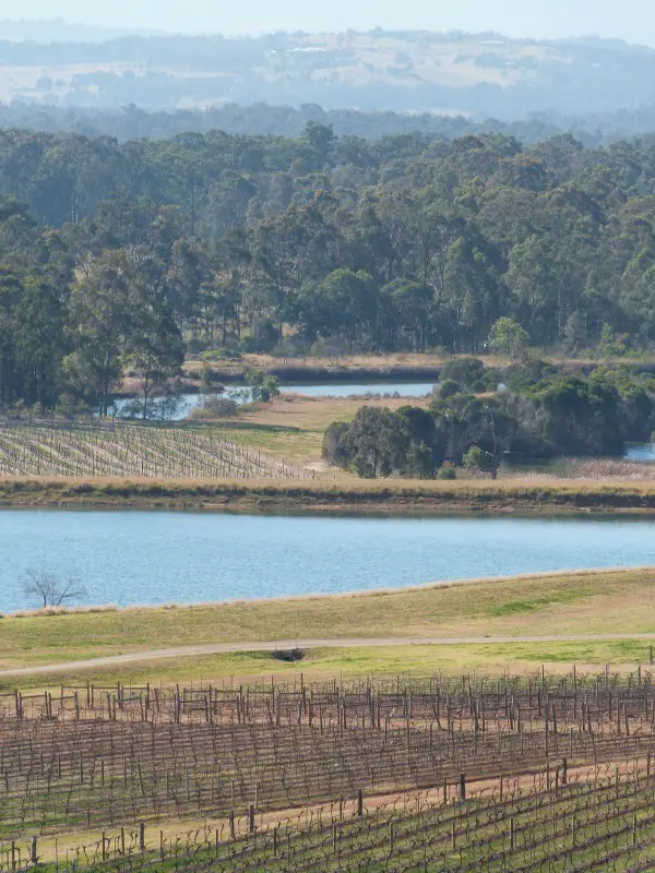 Discovering the Audrey Wilkinson Winery in the Hunter Valley during 2014