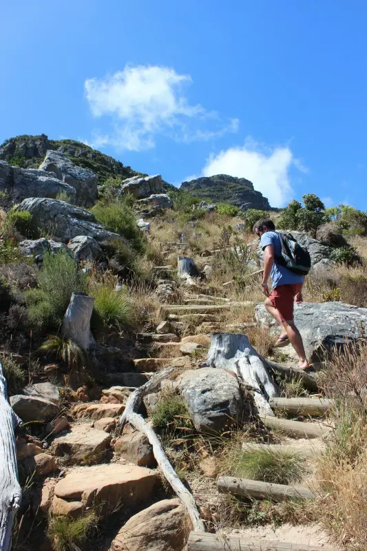 Hiking above Constantia Nek in Cape Town's Mountains