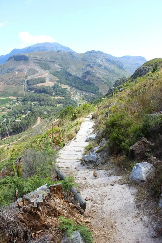 Hiking in Cape Town's Mountains around Constantia Nek