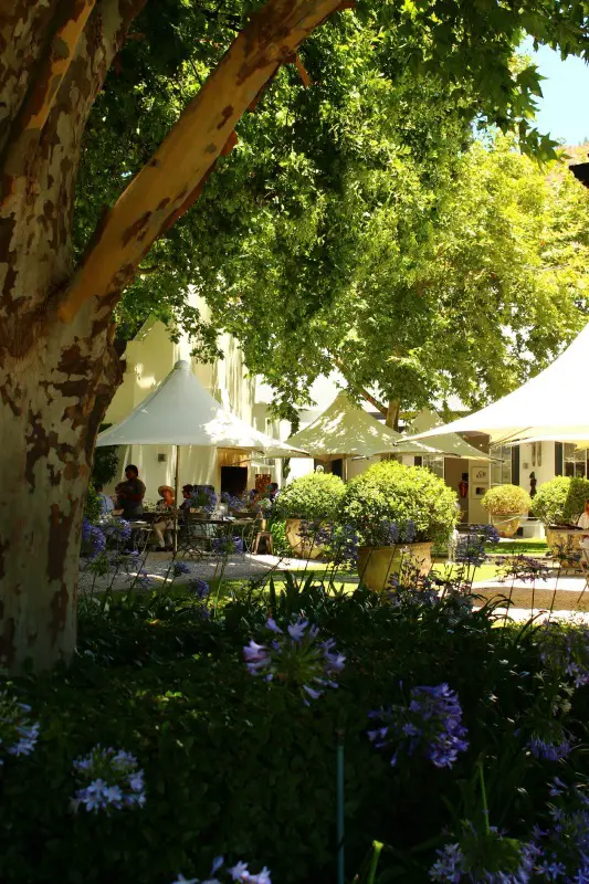 Grande Provence Winery in the Cape Winelands, South Africa