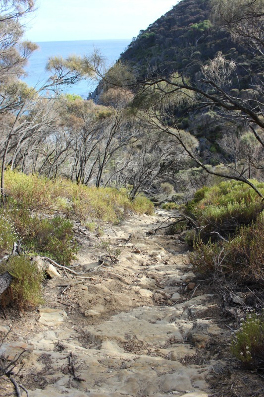 Harvey's Return trail on Kangaroo Island - a Kangaroo Island hike worth doing