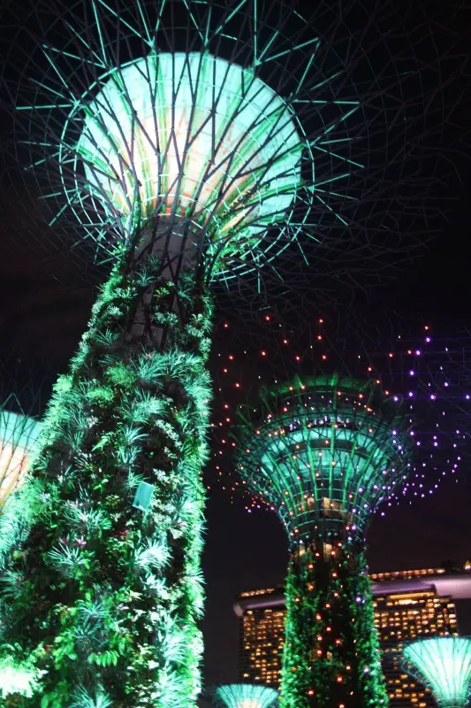 Supertrees in Gardens by the Bay in Singapore