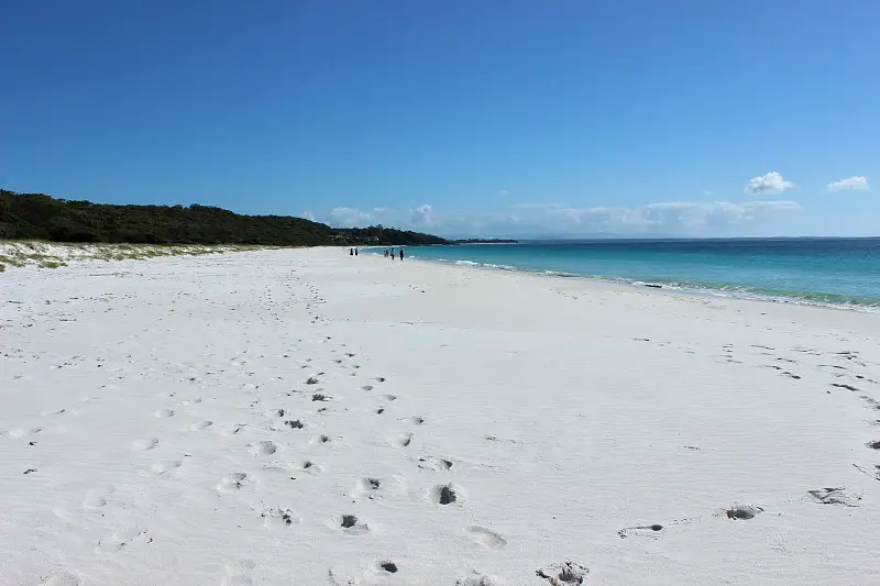Exploring Hyams Beach is one of the best things to do in Jervis Bay