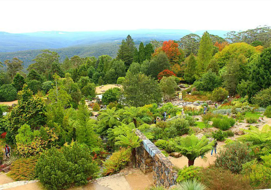 Autumn in the Blue Mountains