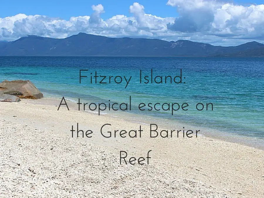 Fitzroy Island_ A tropical escape on the Great Barrier Reef