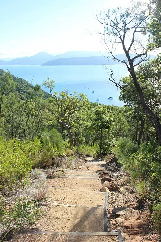 View from Summit hike on Fitzroy Island