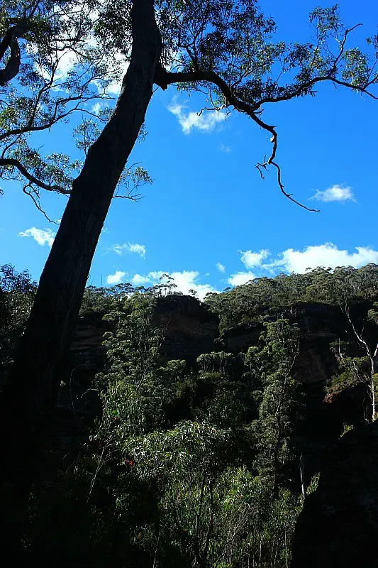 Blue skies in the Grand Canyon of Australia, located in the Blue Mountains