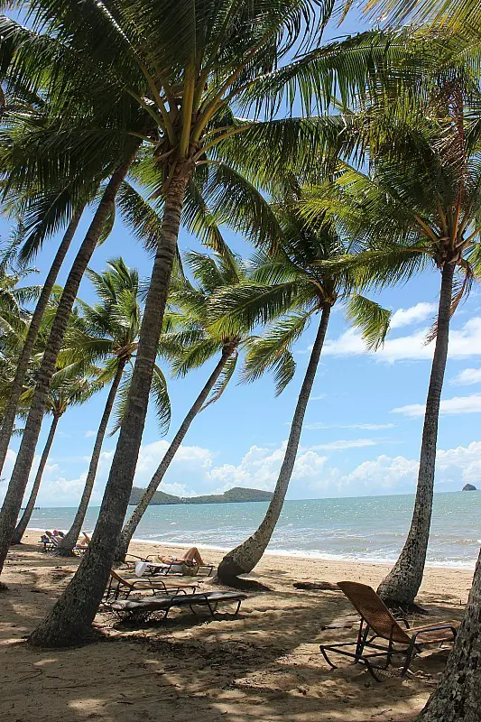 Palm Cove north of Cairns Australia