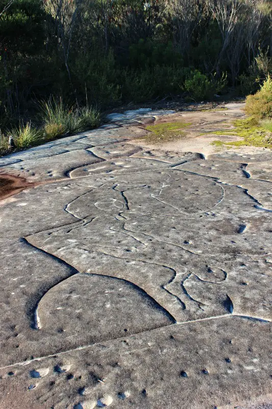 Aboriginal rock art in Ku-ring-gai Chase National Park, on one of Sydney’s best walks