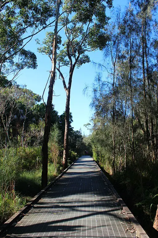 Narrabeen Lake loop – one of Sydney’s best walks