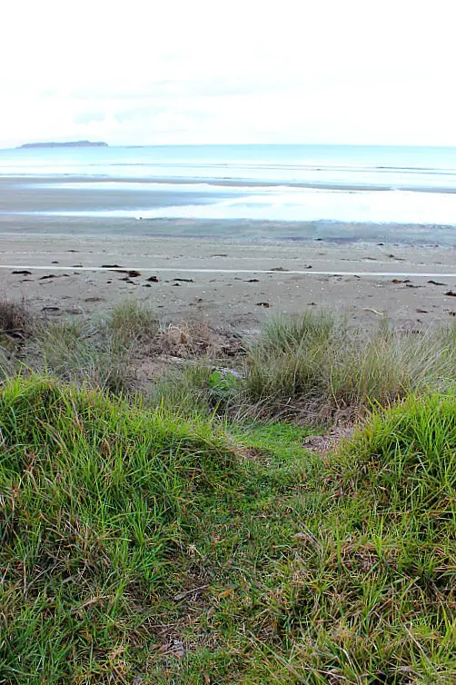 Wenderholm Beach in Wenderholm Regional Park in North Auckland