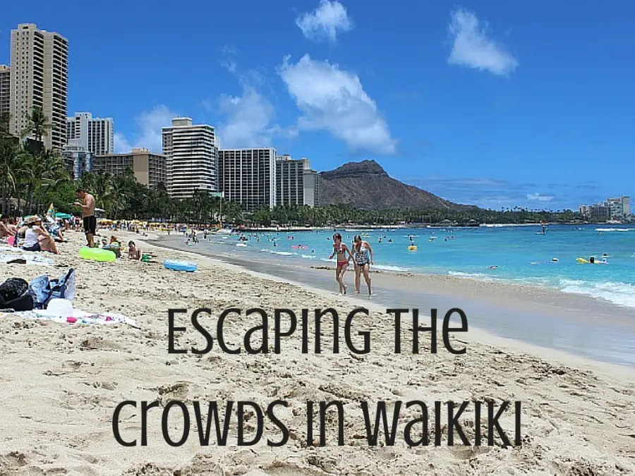 Escaping the crowds in Waikiki