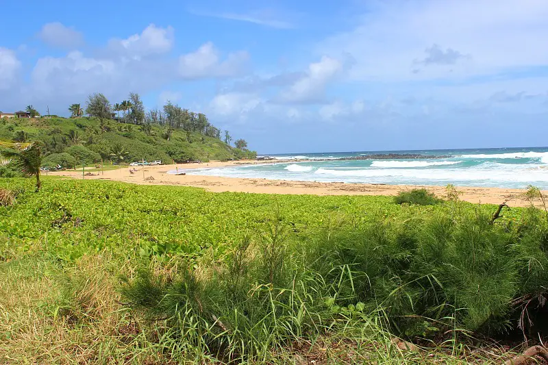 Kealia Beach in Kauai during month four of digital nomad life
