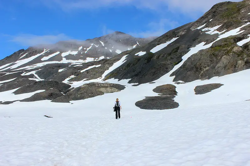 Snowy fields on the Harding Icefield trail in Alaska