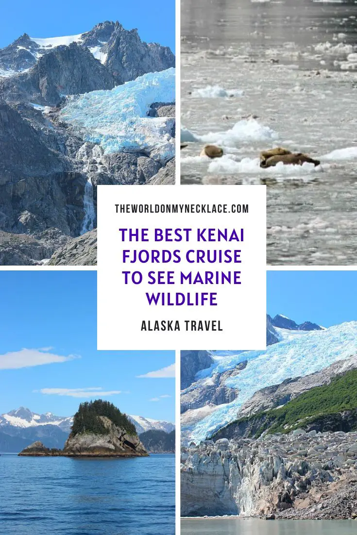The Best Kenai Fjords Cruise To See Marine Wildlife